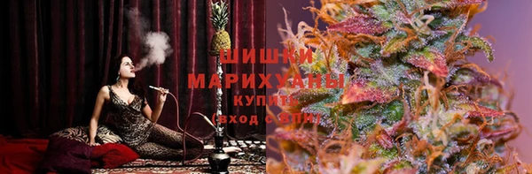 ГАЛЛЮЦИНОГЕННЫЕ ГРИБЫ Верея