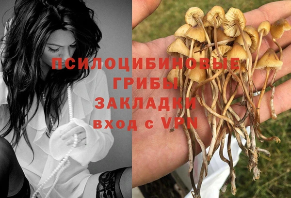 твердый Богородицк